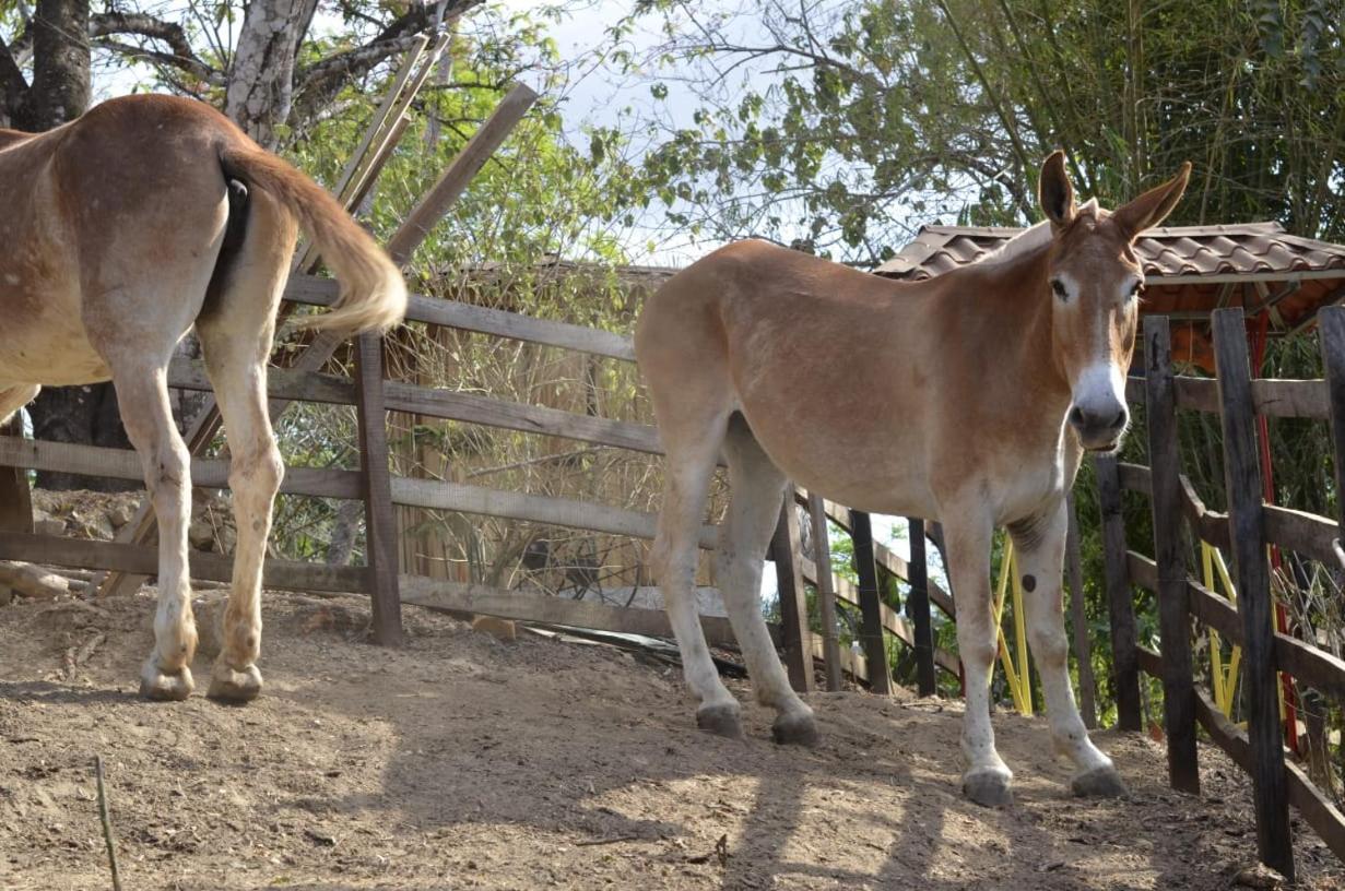 Finca Los Caballos Montezuma Extérieur photo