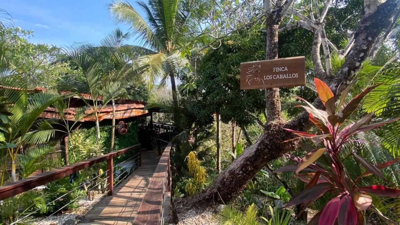 Finca Los Caballos Montezuma Extérieur photo
