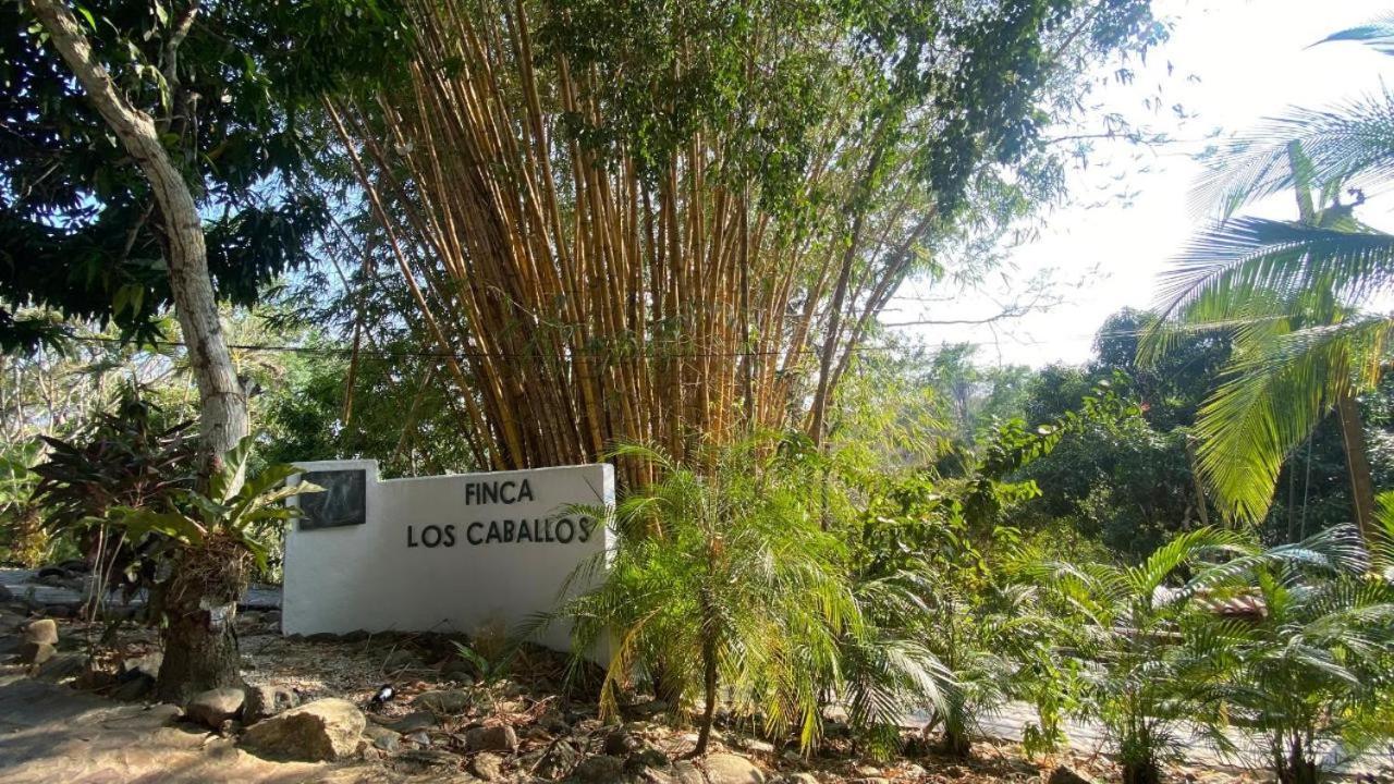 Finca Los Caballos Montezuma Extérieur photo